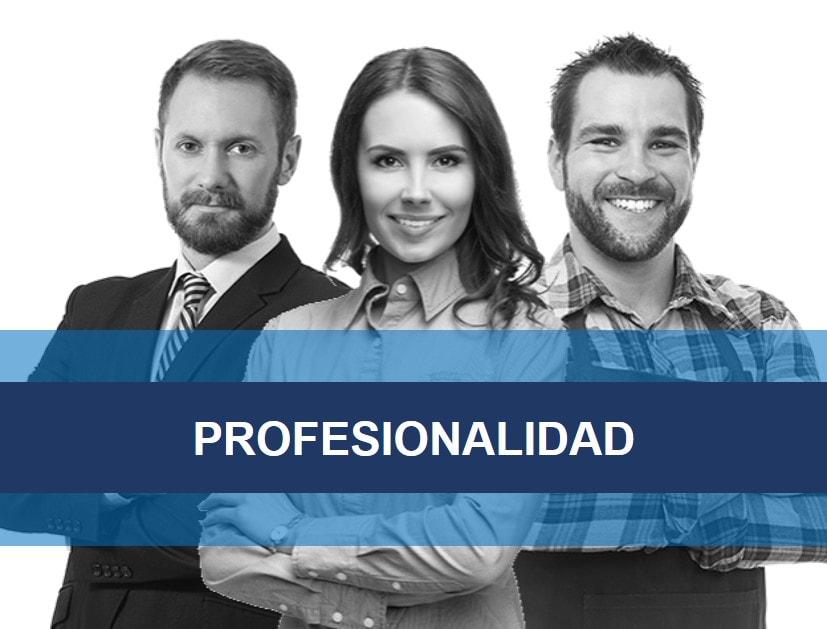 Profesionalidad